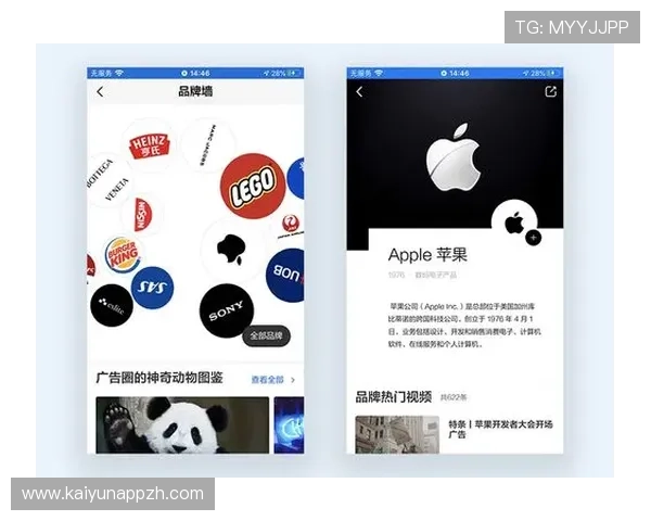 开云真人登录界面优化，提升用户体验实现便捷快速登录